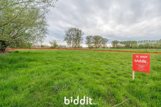 Presentatiebeeld van het pand n° 295125