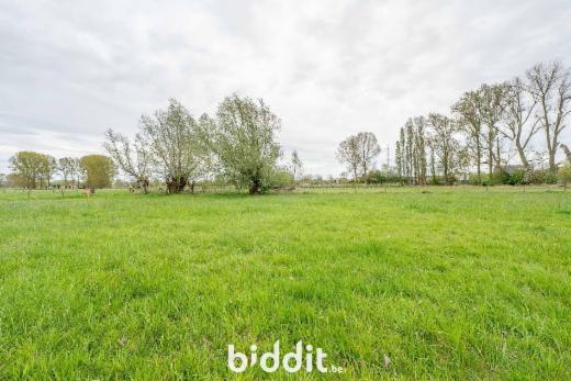 Derde alternatieve foto van het pand