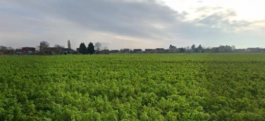 Presentatiebeeld van het pand n° 297720
