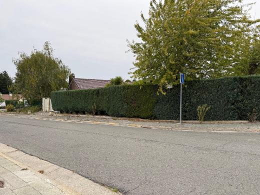 Tweede alternatieve foto van het pand