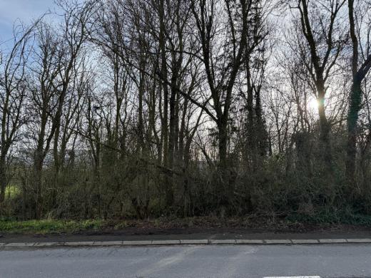 Presentatiebeeld van het pand n° 292094