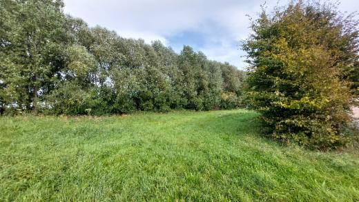 Presentatiebeeld van het pand n° 295333