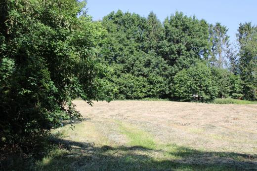 Presentatiebeeld van het pand n° 285050