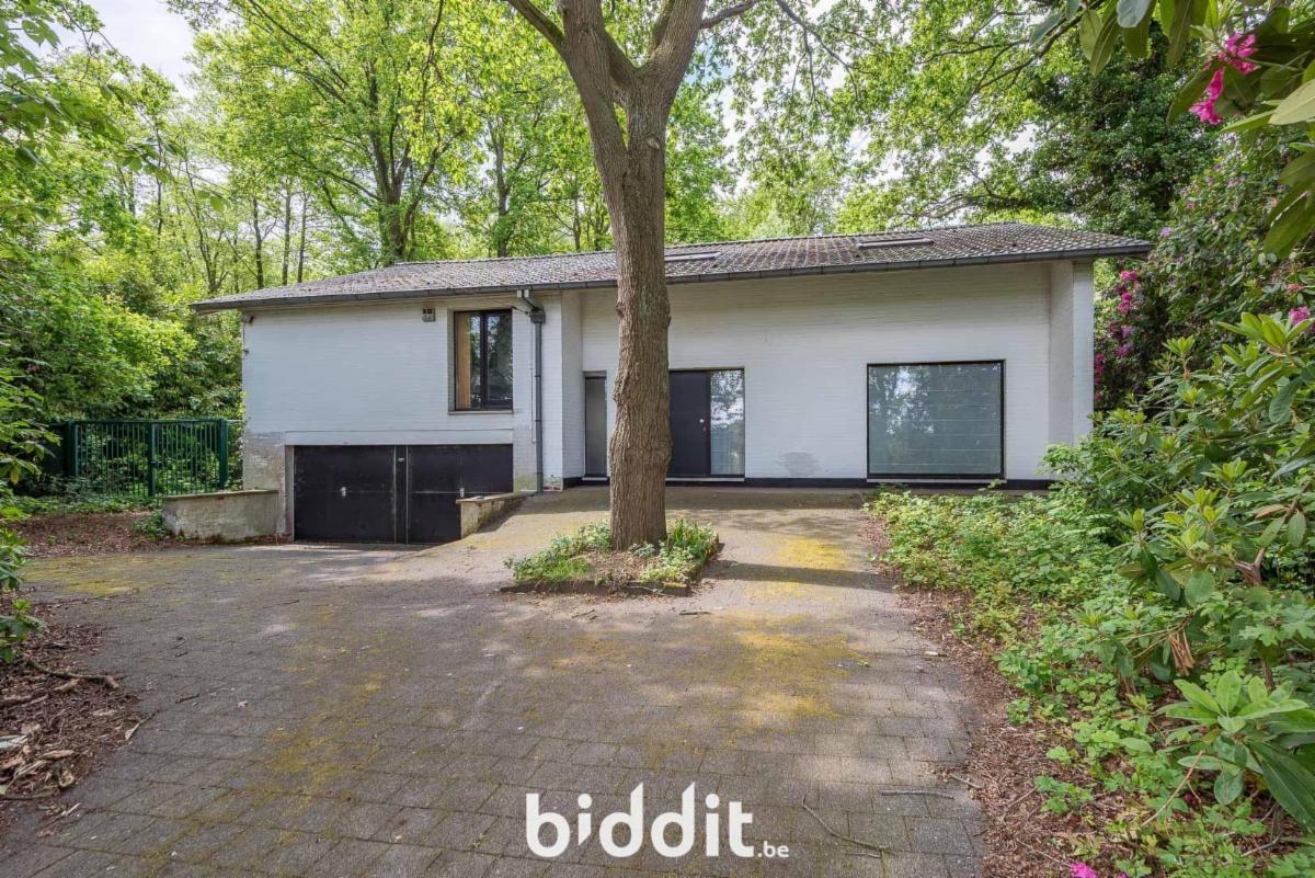 Presentatiebeeld van het pand n° 296529