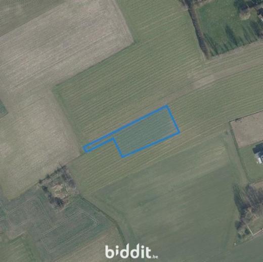 Eerste alternatieve foto van het pand