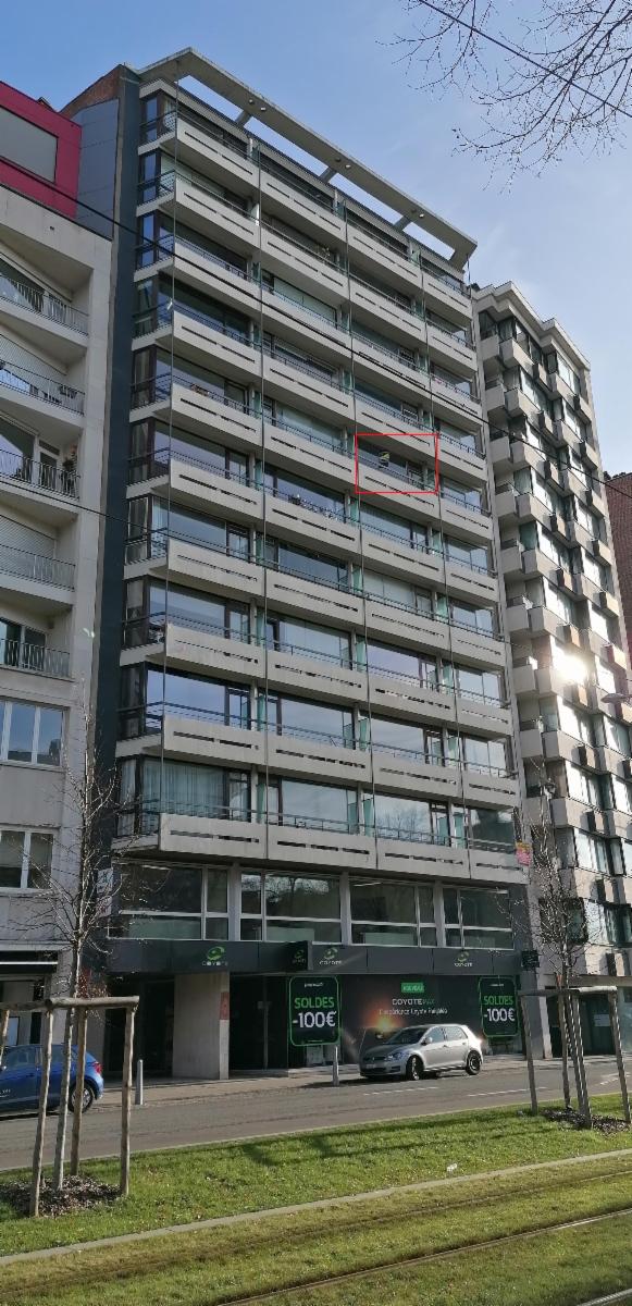 Presentatiebeeld van het pand n° 291949