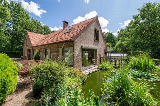 Tweede alternatieve foto van het pand
