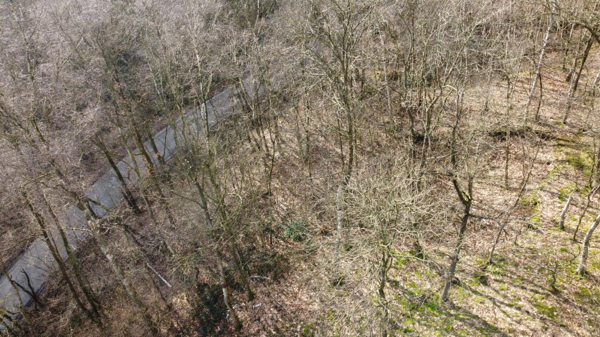Presentatiebeeld van het pand n° 303593
