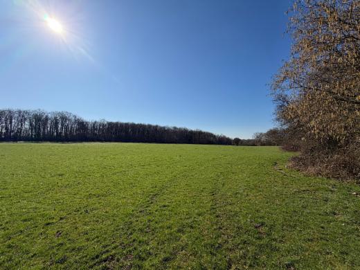 Eerste alternatieve foto van het pand
