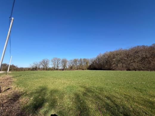 Derde alternatieve foto van het pand