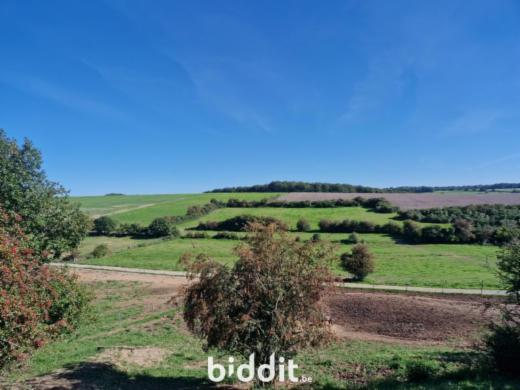 Presentatiebeeld van het pand n° 298548