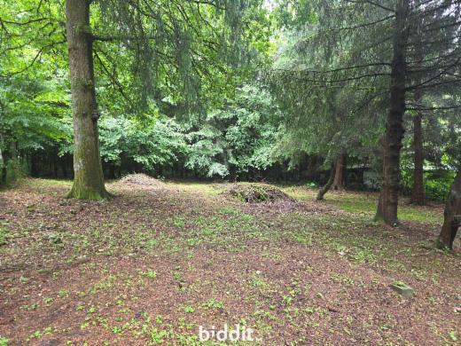 Derde alternatieve foto van het pand