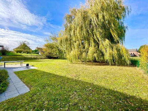 Tweede alternatieve foto van het pand