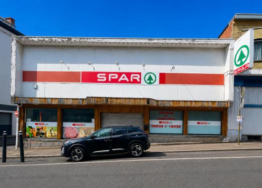 Presentatiebeeld van het pand n° 295899