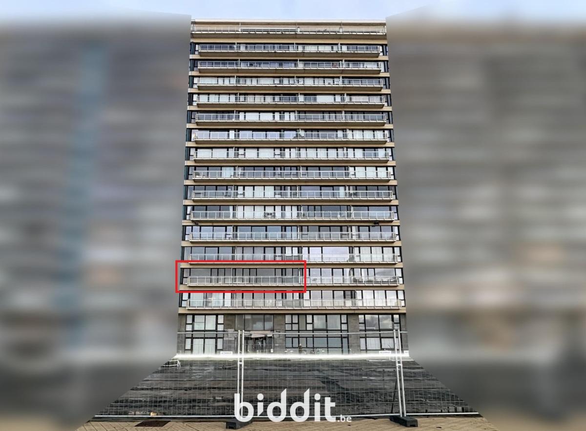 Presentatiebeeld van het pand n° 289870