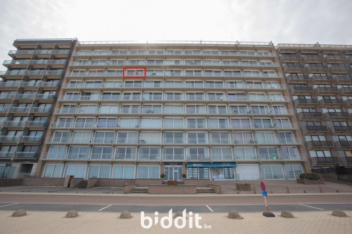 Presentatiebeeld van het pand n° 296070