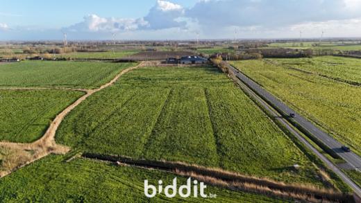 Tweede alternatieve foto van het pand