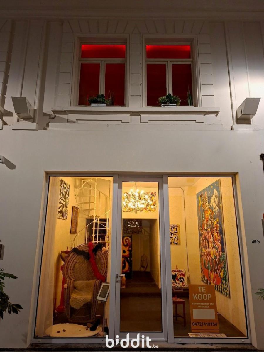 Presentatiebeeld van het pand n° 299004