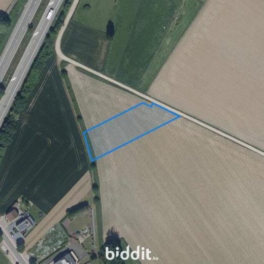 Presentatiebeeld van het pand n° 291654