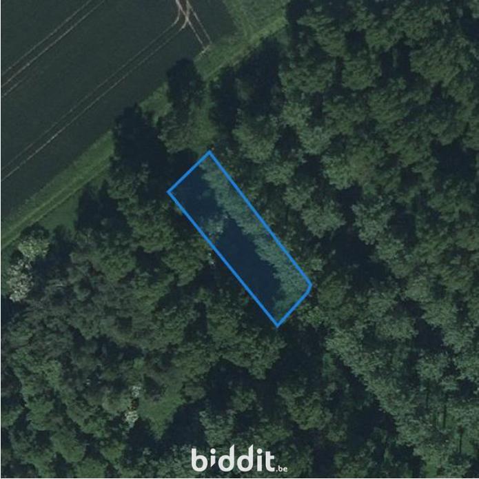 Presentatiebeeld van het pand n° 291658