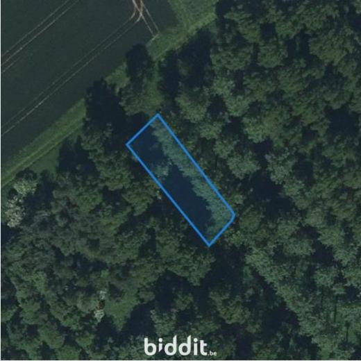 Presentatiebeeld van het pand n° 291658