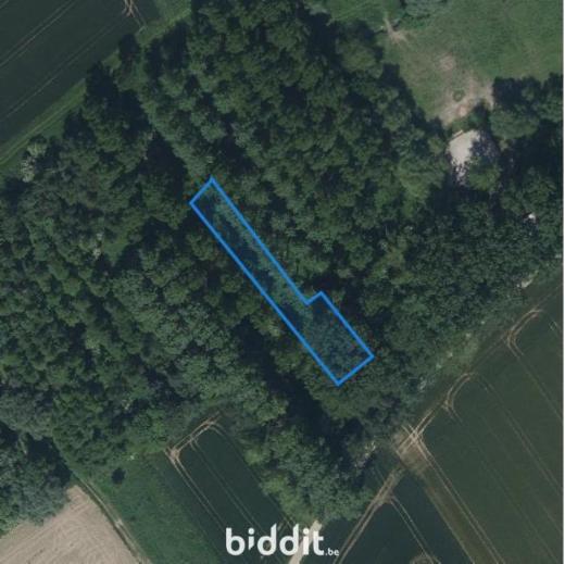 Eerste alternatieve foto van het pand