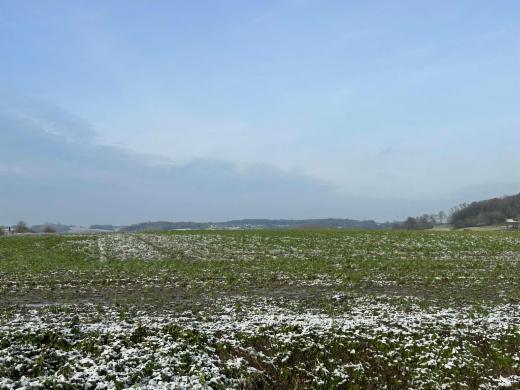 Derde alternatieve foto van het pand