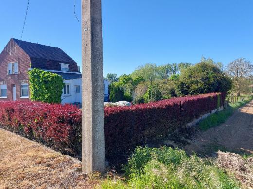 Presentatiebeeld van het pand n° 298524