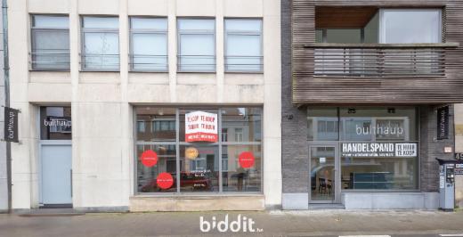 Presentatiebeeld van het pand n° 295800