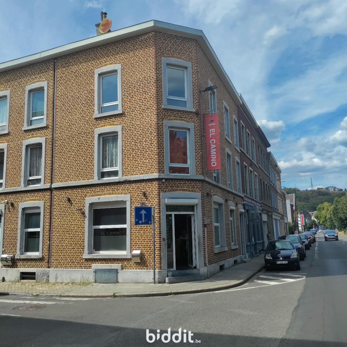 Presentatiebeeld van het pand n° 299463