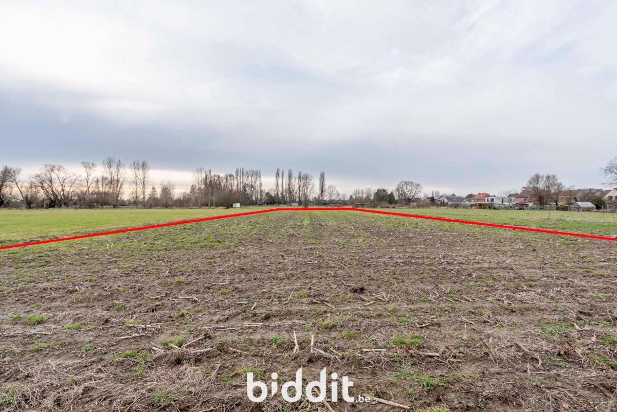 Presentatiebeeld van het pand n° 292750