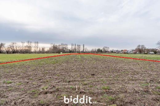 Presentatiebeeld van het pand n° 292750