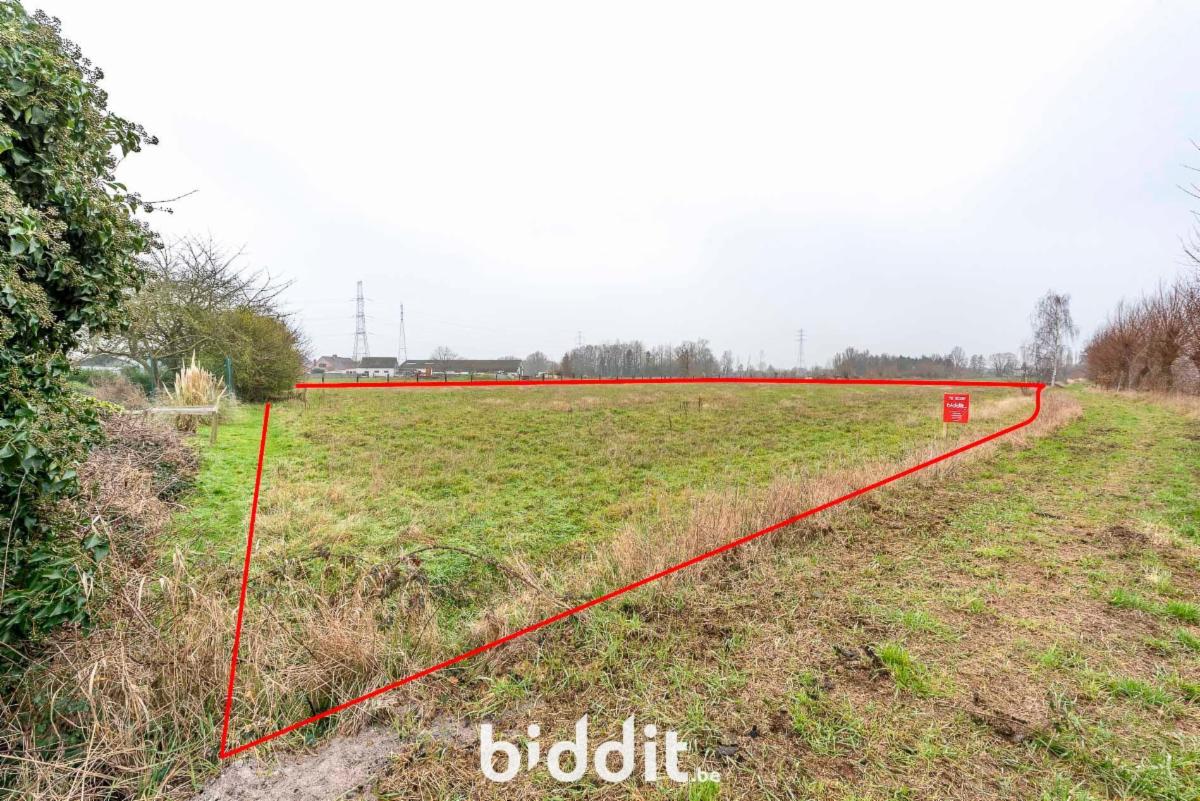 Presentatiebeeld van het pand n° 292751