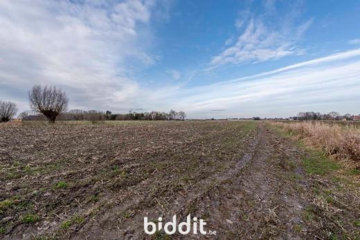 Derde alternatieve foto van het pand