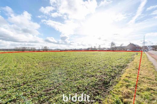 Derde alternatieve foto van het pand