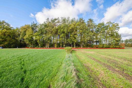 Eerste alternatieve foto van het pand