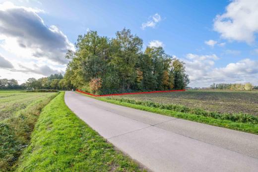 Tweede alternatieve foto van het pand