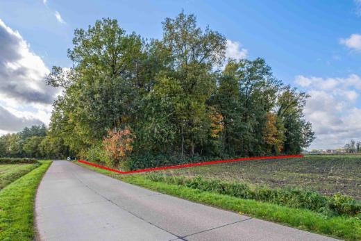 Derde alternatieve foto van het pand