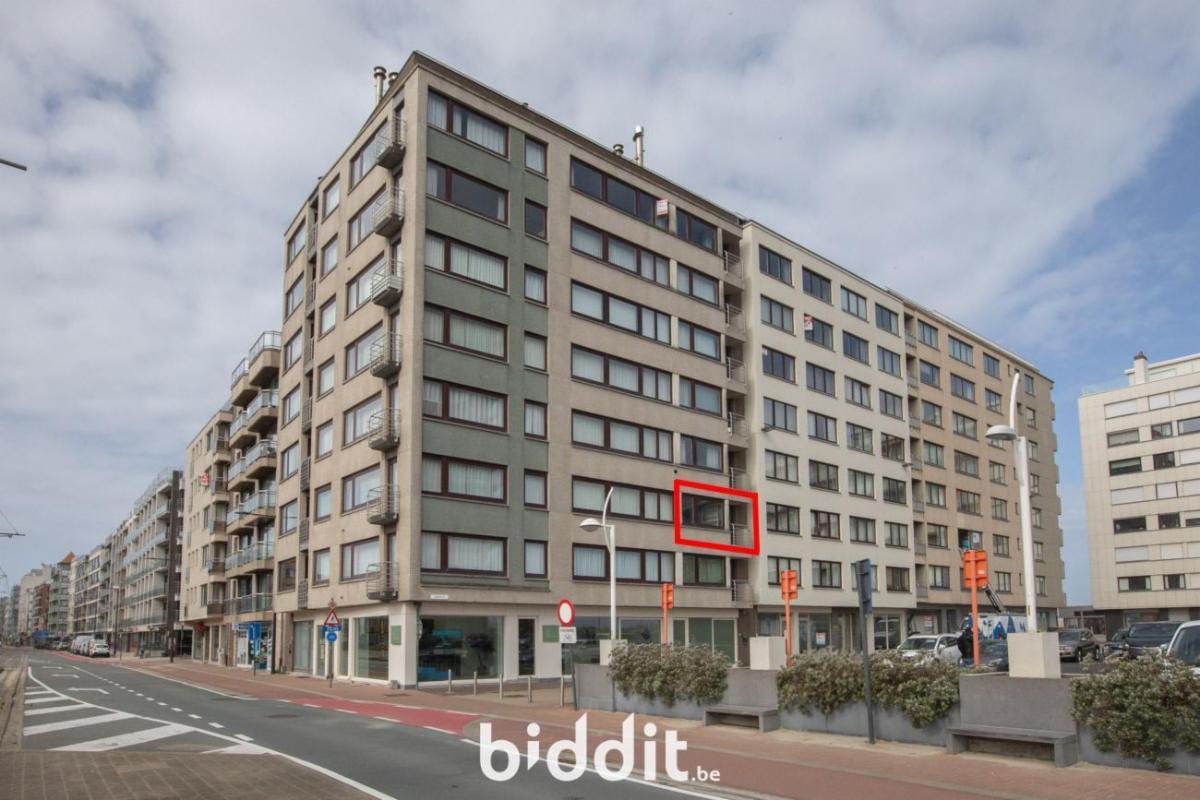 Presentatiebeeld van het pand n° 294190