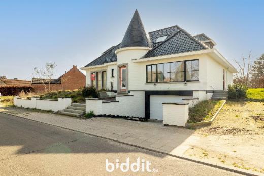 Presentatiebeeld van het pand n° 294615