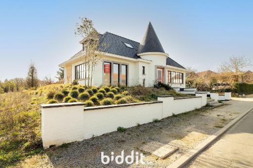 Tweede alternatieve foto van het pand