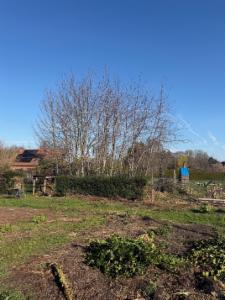 Derde alternatieve foto van het pand