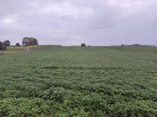 Presentatiebeeld van het pand n° 288919
