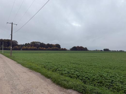 Tweede alternatieve foto van het pand