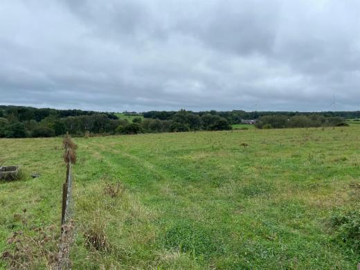 Eerste alternatieve foto van het pand