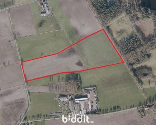 Presentatiebeeld van het pand n° 294806