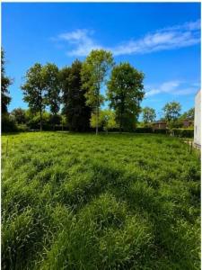 Derde alternatieve foto van het pand
