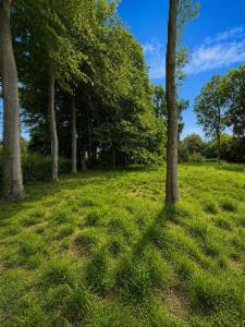 Tweede alternatieve foto van het pand
