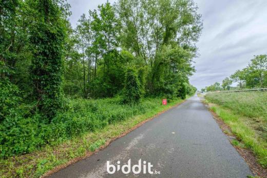 Eerste alternatieve foto van het pand