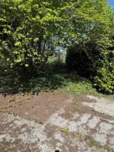 Derde alternatieve foto van het pand